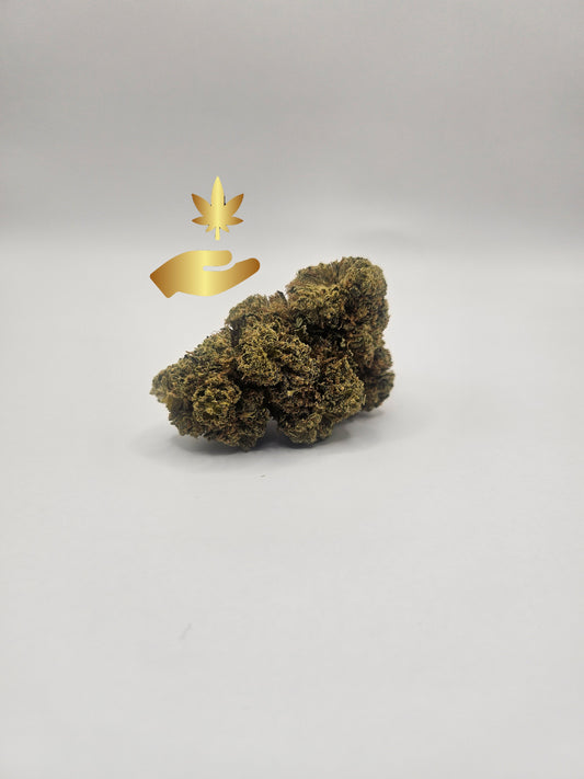 WHITE WIDOW H30